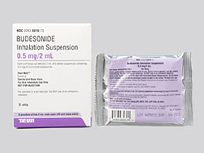 Budesonide (Pulmicort) Coupon - Budesonide Medication