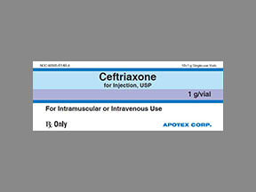 Ceftriaxone Sodium Coupon - Ceftriaxone-sodium Medication